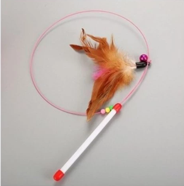 TÜYLÜ KEDİ OLTASI